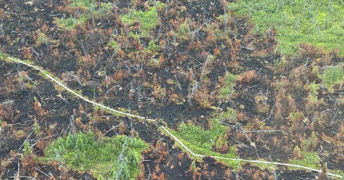 Blm Ends Fire Closure In The White Mountains National Recreation Area